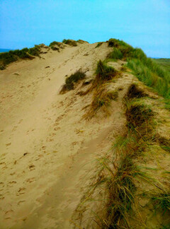 A sand dune.