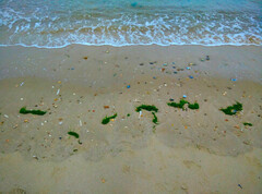 Scattered seaweed and stones washed by the shore