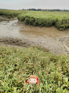 Plush toy of the character Ponyo in marsh grasses.