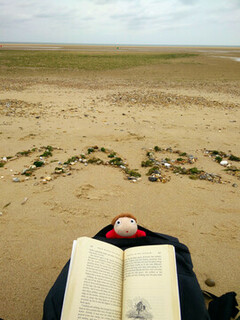 Reading a book on the beach with a plush toy of the character Ponyo