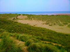 Sandhills with the sea in the background